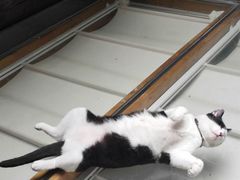 -猫的天空之城概念书店(杭州南宋御街店)