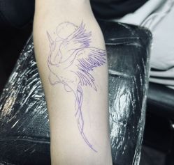 -刺客纹画·纹身·洗纹身.穿孔饰品
