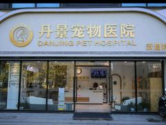 -丹景宠物医院·全科·老年病·牙科(武昌诊疗中心)