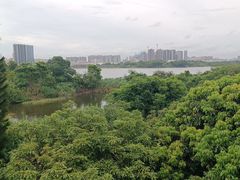 -立新湖公园