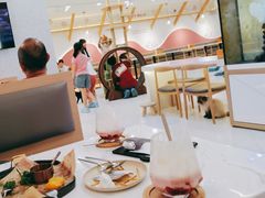 -喵园·猫主题咖啡厅·撸猫·猫咖(国贸店)