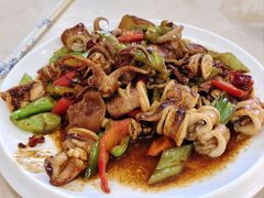 酱爆笔管蛸-北方饺子王·海肠捞饭·海鲜锅(山大店)