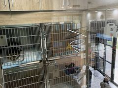 -半岛宠物医院24小时·内窥镜·牙科·碎石中心(府城大道店)