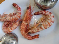 海捕大斑节虾-凯华海鲜火锅·传承三十六年