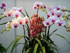 -天津东丽湖风景区