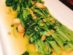 豆酱扒通菜-绿茶餐厅(广州天河城店)