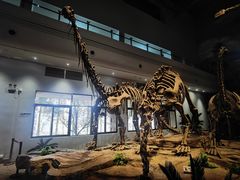 -自贡恐龙博物馆