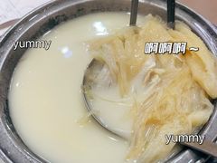 -凤城礼记鱼翅海鲜酒家(新马路总店)