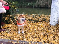 -白鹭湾湿地公园