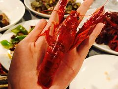 -虎虎龙虾•9年湖北匠(双井店)