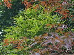 -东湖磨山景区
