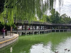 -团结湖公园