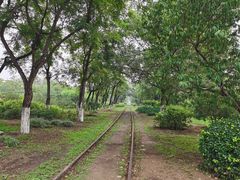 -永定河休闲森林公园