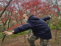 -观象山公园