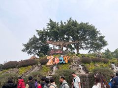 -自贡恐龙博物馆