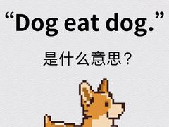 -引领英语·成人口语·雅思托福