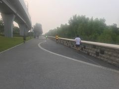 -宝安西湾红树林湿地公园