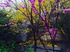 -齐汇维景大酒店游泳馆(山东政协大厦齐汇维景)