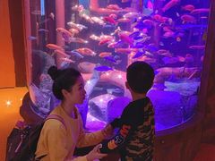 -沈阳海洋探索中心