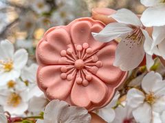 -珈境湖畔餐厅·湖北菜·江浙菜•樱花季(西北湖店)