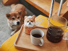 -隹木咖啡馆(宝龙广场店)