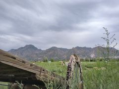 -敕勒川草原文化旅游区