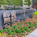攻略 | 静安区0元不排队赏樱🌸保姆级指南建议收藏