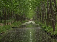 -合肥滨湖国家森林公园