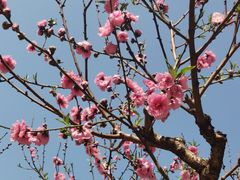 -桃花涧