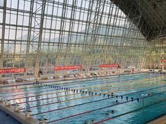 -深圳大学城（南区）体育中心-游泳馆