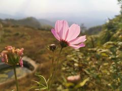 -四明山国家森林公园