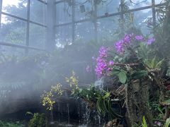 -东莞植物园