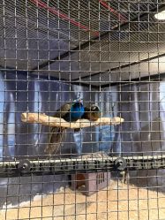 -酷嗒动物文化乐园(cutezoo西溪乐天城店)