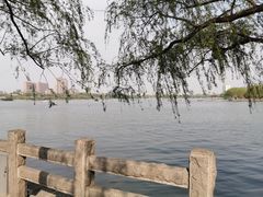 -济南大明湖景区
