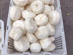 白萝卜-園丁烤肉缸子肉