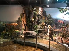 -陕西自然博物馆