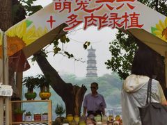 -黎记大排档(慈云路店)