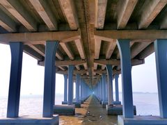 -宝安西湾红树林湿地公园