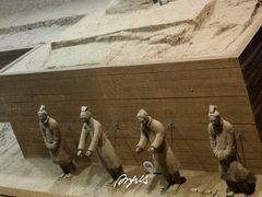 -秦始皇帝陵博物院-丽山园
