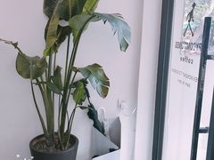 -常识咖啡common sense(春熙路店)