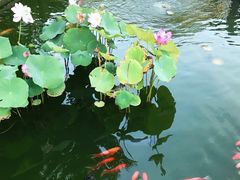 -长阳创谷
