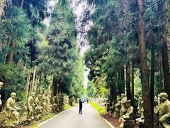 -武陵山森林公园