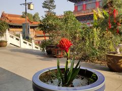 -开福禅寺