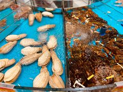 -舌尖上·霞浦滩涂海鲜·新闽菜(总店)