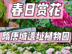 -洛阳市隋唐城遗址植物园