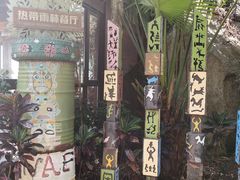-亚龙湾热带天堂森林公园