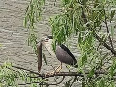 -苏州河梦清园环保主题公园