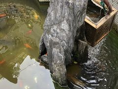 -上海交通大学医学院附属第九人民医院浦东分院-停车场