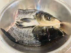 -小团圆灶台鱼·百城头牌菜(千岛湖店)