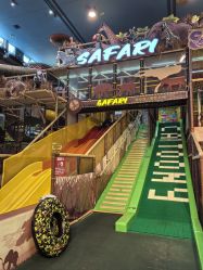 -卡通尼·Safari非洲探索乐园·生日会(金桥国际商业广场店)